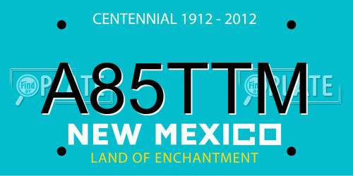 A85TTM New Mexico License Plate