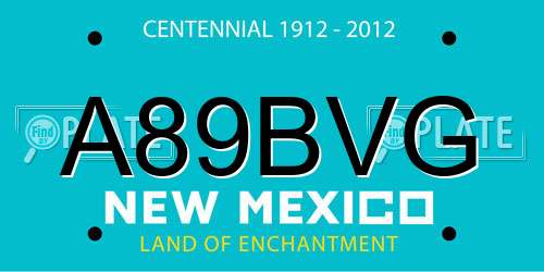 A89BVG New Mexico License Plate