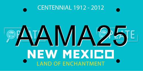 AAMA25 New Mexico License Plate