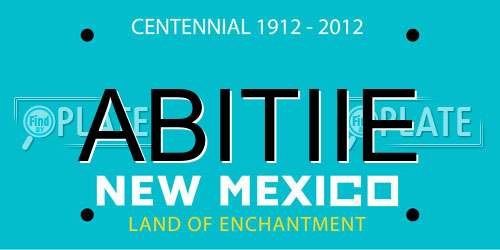 ABITIIE New Mexico License Plate