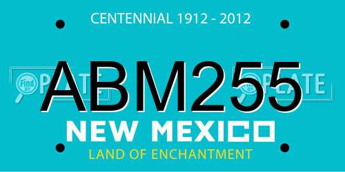 ABM255 New Mexico License Plate