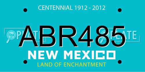 ABR485 New Mexico License Plate