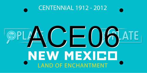 ACE06 New Mexico License Plate