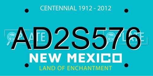 AD2S576 New Mexico License Plate