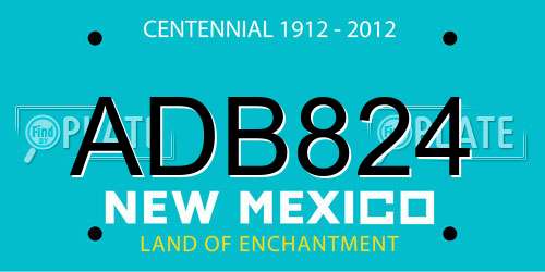 ADB824 New Mexico License Plate