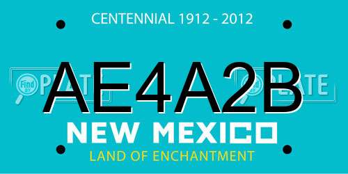 AE4A2B New Mexico License Plate