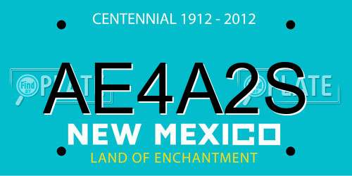 AE4A2S New Mexico License Plate