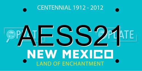 AESS21 New Mexico License Plate