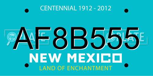 AF8B555 New Mexico License Plate