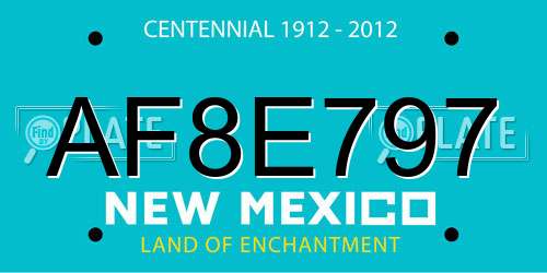 AF8E797 New Mexico License Plate