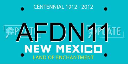 AFDN11 New Mexico License Plate