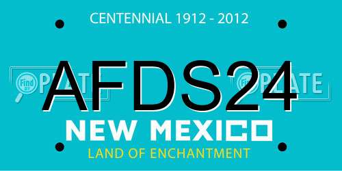 AFDS24 New Mexico License Plate