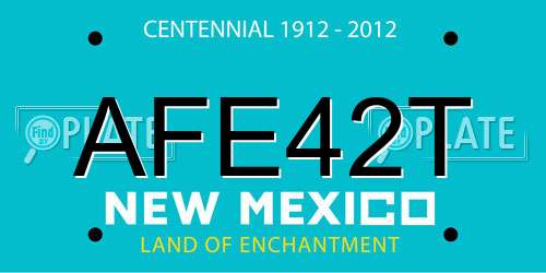 AFE42T New Mexico License Plate