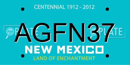AGFN37 New Mexico License Plate