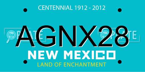 AGNX28 New Mexico License Plate