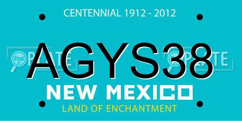 AGYS38 New Mexico License Plate