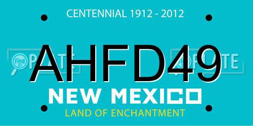 AHFD49 New Mexico License Plate