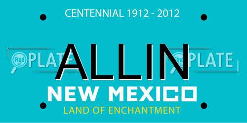 ALLIN New Mexico License Plate