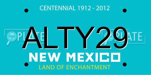 ALTY29 New Mexico License Plate