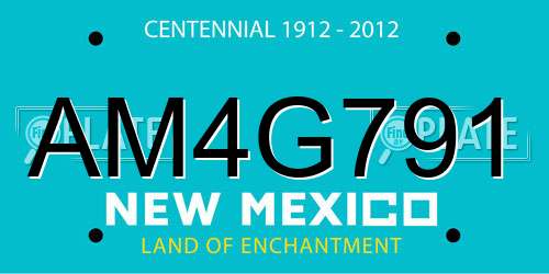 AM4G791 New Mexico License Plate