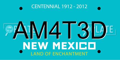 AM4T3D New Mexico License Plate