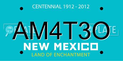 AM4T3O New Mexico License Plate