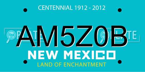 AM5Z0B New Mexico License Plate