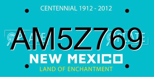 AM5Z769 New Mexico License Plate