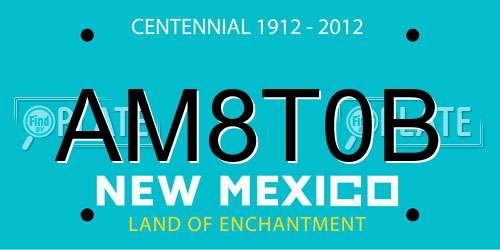 AM8T0B New Mexico License Plate