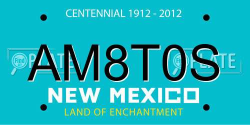 AM8T0S New Mexico License Plate