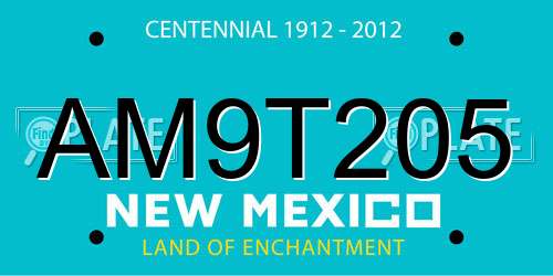 AM9T205 New Mexico License Plate