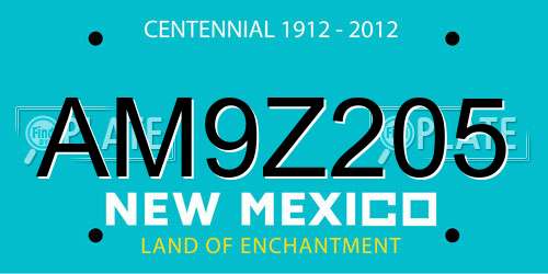 AM9Z205 New Mexico License Plate