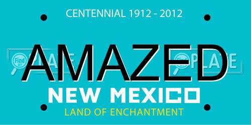 AMAZED New Mexico License Plate