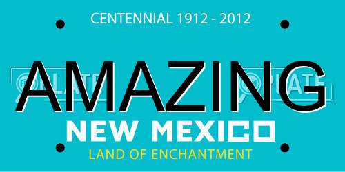 AMAZING New Mexico License Plate