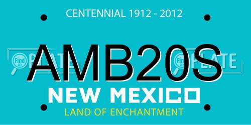 AMB20S New Mexico License Plate