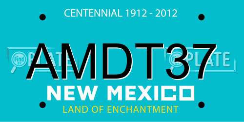 AMDT37 New Mexico License Plate