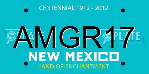 AMGR17 New Mexico License Plate