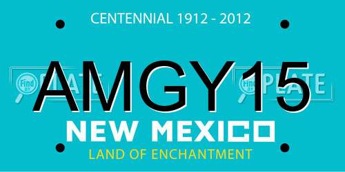 AMGY15 New Mexico License Plate