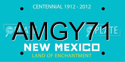 AMGY71 New Mexico License Plate