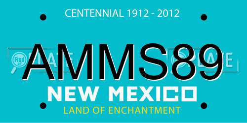 AMMS89 New Mexico License Plate