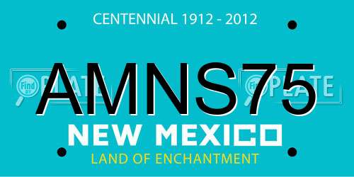 AMNS75 New Mexico License Plate