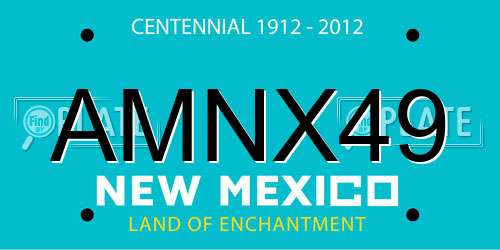 AMNX49 New Mexico License Plate