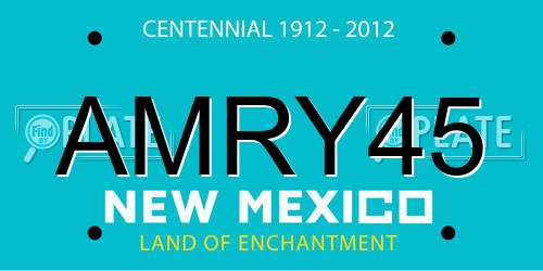 AMRY45 New Mexico License Plate