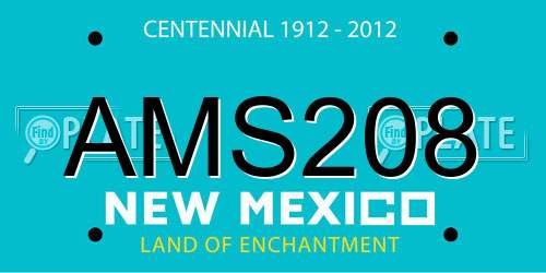 AMS208 New Mexico License Plate