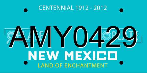 AMY0429 New Mexico License Plate
