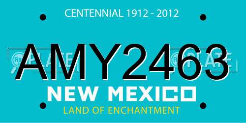 AMY2463 New Mexico License Plate