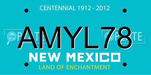 AMYL78 New Mexico License Plate