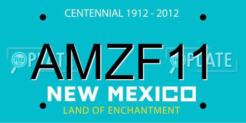 AMZF11 New Mexico License Plate