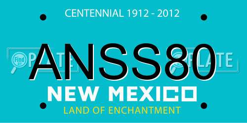 ANSS80 New Mexico License Plate