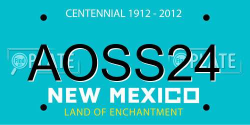 AOSS24 New Mexico License Plate